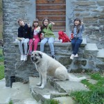 2° Foto Segnalata di Marco Margheri